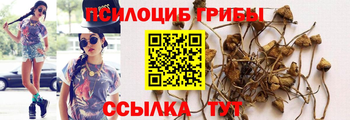 Галлюциногенные грибы MAGIC MUSHROOMS Северобайкальск